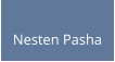 Nesten Pasha