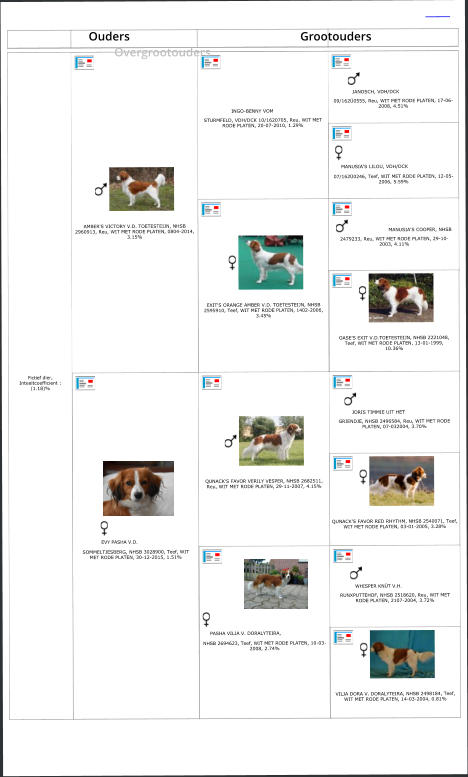 Fictief dier, Inteeltcoefficient : (1.18)% AMBER'S VICTORY V.D. TOETESTEIJN, NHSB 2960913, Reu, WIT MET RODE PLATEN, 0804-2014, 3.15%     INGO-BENNY VOM  STURMFELD, VDH/DCK 10/1620705, Reu, WIT MET RODE PLATEN, 20-07-2010, 1.29%      JANOSCH, VDH/DCK  09/162Ü0555, Reu, WIT MET RODE PLATEN, 17-06-2008, 4.51%    MANUSIA'S LILOU, VDH/DCK  07/162Ü0246, Teef, WIT MET RODE PLATEN, 12-05-2006, 5.59% EXIT'S ORANGE AMBER V.D. TOETESTEIJN, NHSB 2595910, Teef, WIT MET RODE PLATEN, 1402-2006, 3.45% MANUSIA'S COOPER, NHSB  2479233, Reu, WIT MET RODE PLATEN, 29-10-2003, 4.11% OASE'S EXIT V.D.TOETESTEIJN, NHSB 2221048, Teef, WIT MET RODE PLATEN, 13-01-1999, 10.36%  EVY PASHA V.D.  SOMMELTJESBERG, NHSB 3028900, Teef, WIT MET RODE PLATEN, 30-12-2015, 1.51% QUNACK'S FAVOR VERILY VESPER, NHSB 2682511, Reu, WIT MET RODE PLATEN, 29-11-2007, 4.15%    JORIS TIMMIE UIT HET  GRIENDJE, NHSB 2496584, Reu, WIT MET RODE PLATEN, 07-032004, 3.70% QUNACK'S FAVOR RED RHYTHM, NHSB 2540071, Teef, WIT MET RODE PLATEN, 03-01-2005, 3.28%  PASHA VILJA V. DORALYTEIRA,  NHSB 2694623, Teef, WIT MET RODE PLATEN, 10-03-2008, 2.74%      WHISPER KNÜT V.H.  RUNXPUTTEHOF, NHSB 2518620, Reu, WIT MET RODE PLATEN, 2107-2004, 3.72% VILJA DORA V. DORALYTEIRA, NHSB 2498184, Teef, WIT MET RODE PLATEN, 14-03-2004, 0.81%      Ouders 					Grootouders 				 Overgrootouders
